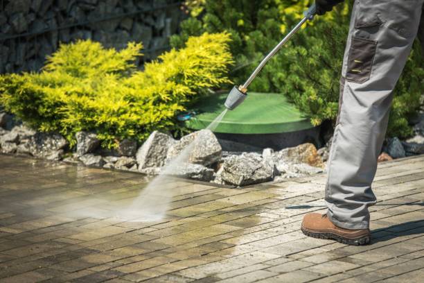 Best Animal Enclosure Cleaning  in Monterey Park, CA
